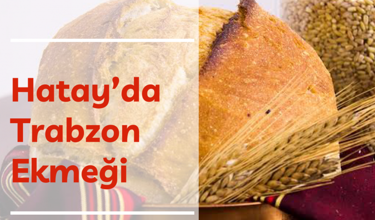 HATAY’DA TRABZON EKMEĞİ – BİR GÖÇ HİKAYESİ